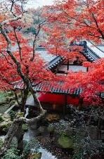 澳门有哪些赌场老板-澳门赌场老板，财富与权力的交汇点